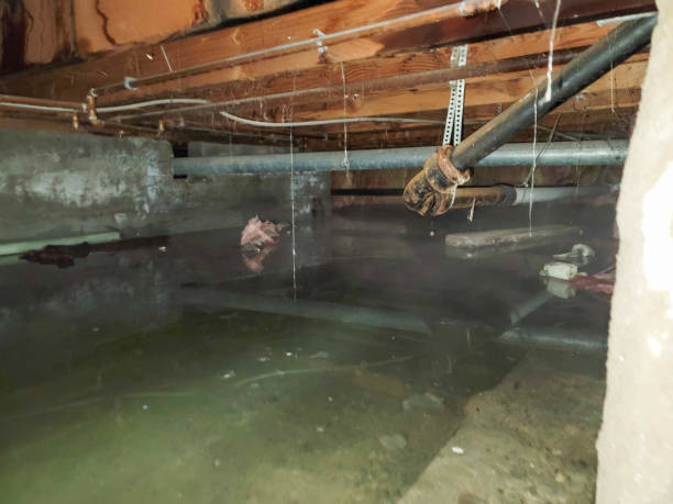 Best Commercial water damage restoration  in Evans, GA