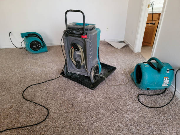 Best Sewage cleanup and water damage restoration  in Evans, GA