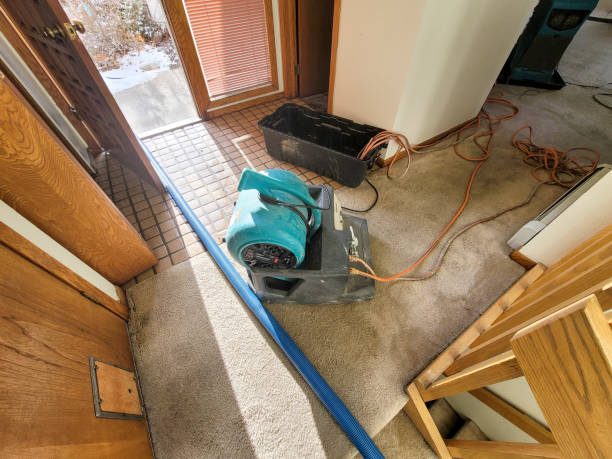 Best Flooded house restoration  in Evans, GA