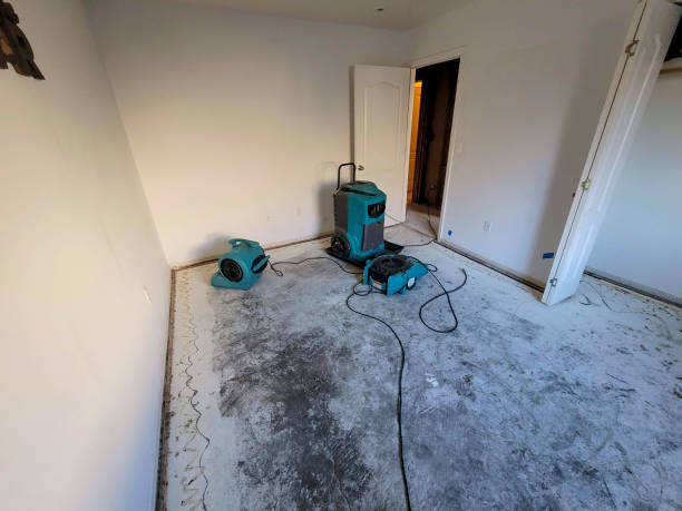 Best Flood restoration services  in Evans, GA