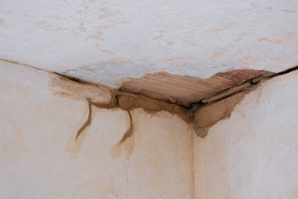 Best Water damage restoration near me  in Evans, GA