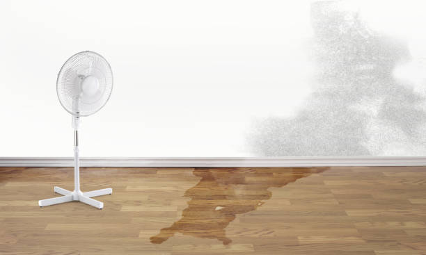 Best Fire Damage Restoration  in Evans, GA