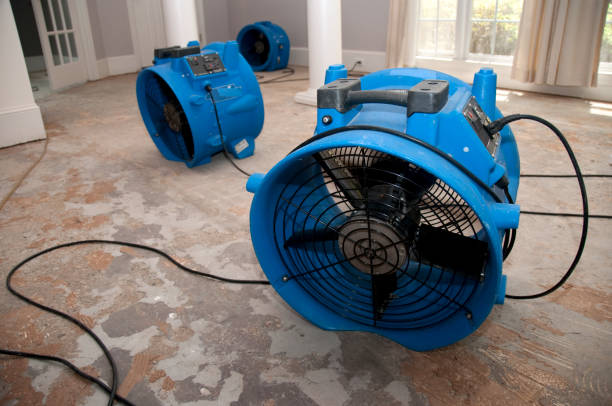 Best Mold removal after water damage  in Evans, GA