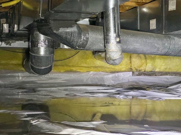 Best Water damage contractors near me  in Evans, GA