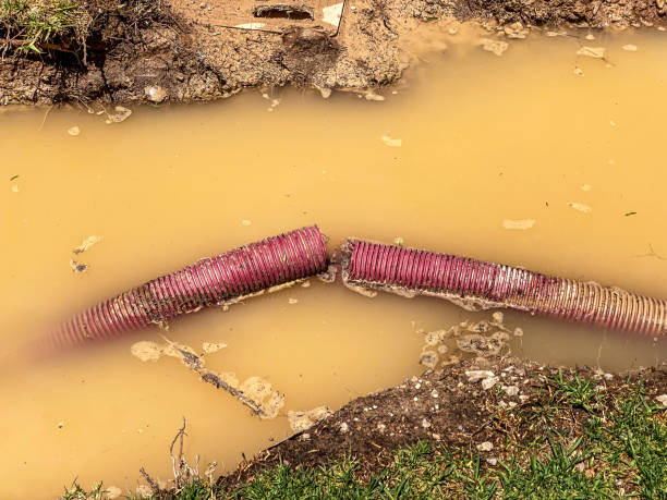 Water damage restoration experts in Evans, GA