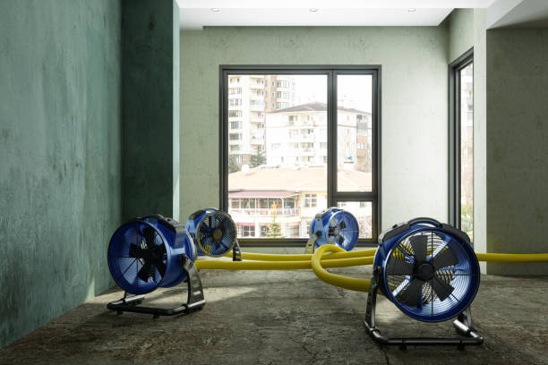Best Basement water damage restoration  in Evans, GA