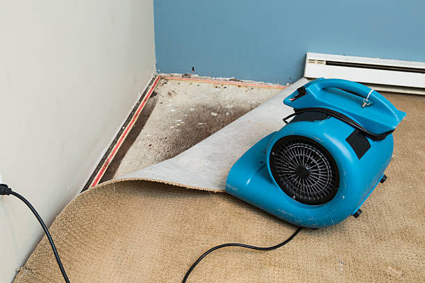 Best Local water damage restoration  in Evans, GA